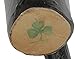Authentic Irish Blackthorn Shillelagh Stick - 18