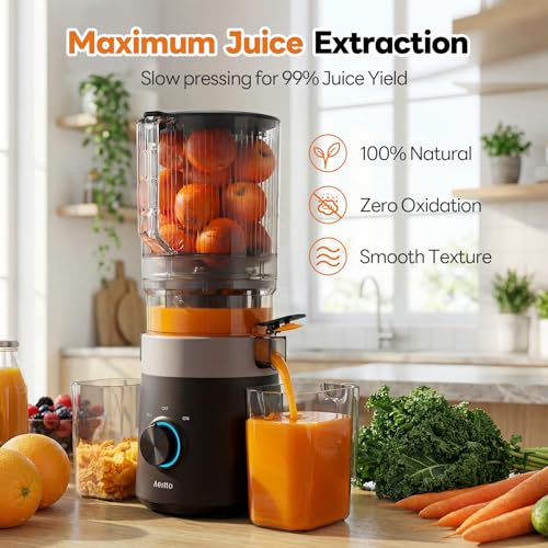 Slow Masticating Juicer Extractor