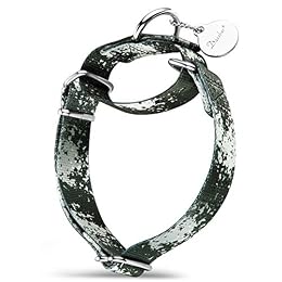 Dazzber Puppy Collar Martingale Dog Collar - No Pull Anti-Escape Pet Collar for Small Dogs, Adjustable 10 Inch to 15 Inch, Jungle camo