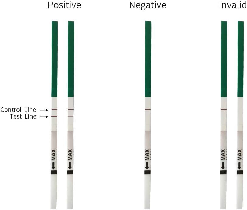 HCG Pregnancy Test Strips (Individually-Sealed, Pack of 30)