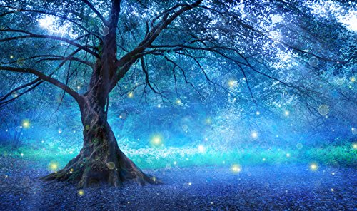 Parallel Worlds & the Existence of Fairies - Real Life Stories: All New In-Depth Real Life Stories In the News (Help Me Angels Book 10)