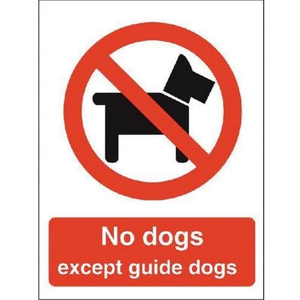 Seco Cartello Autoadesivo 'No Dogs Except Guide Dogs': 150x200 Mm, Vinile Rosso Per Interni - 2