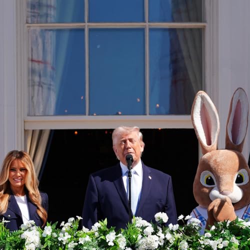 Todo mal - Un conejo como presidente