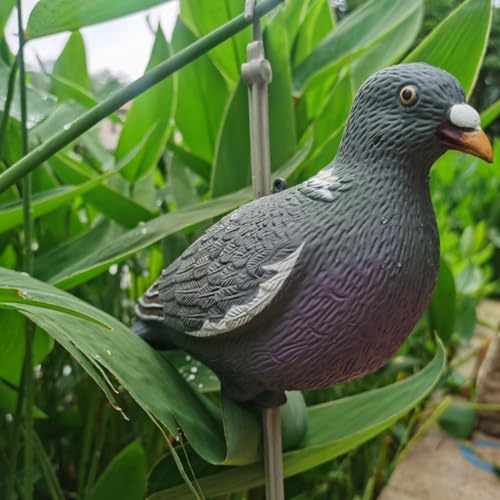 Heerweiyi Dove Pigeons Decoys for Hunting, Pack of 12 Space Saving, Outdoors Dove Hunting Gear with Stick Peg