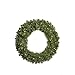 Vickerman 60" Grand Teton Double Sided Artificial Christmas, Warm White Wide Angle LED Lights - Faux Chistmas Wreath - Indoor Seasonal Home Decor