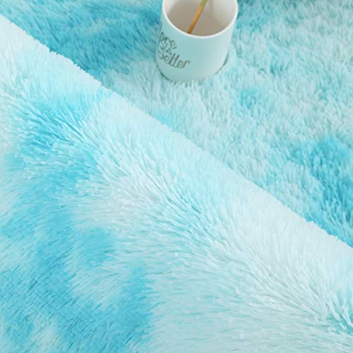 4X6 Sky Blue Area Rugs Modern Home Decorate Soft Fluffy Carpets For Living Room Bedroom Kids Room Fuzzy Plush Non-Slip Floor Area Rug Fluffy Indoor Carpet #TOP6
