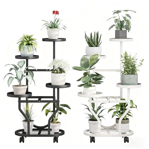 xinzyxx t[X^h  5iAؔ LX^[t gݗĊȒP rO/L/eXp A/ip ԑ Op AX^h  ԒuI()