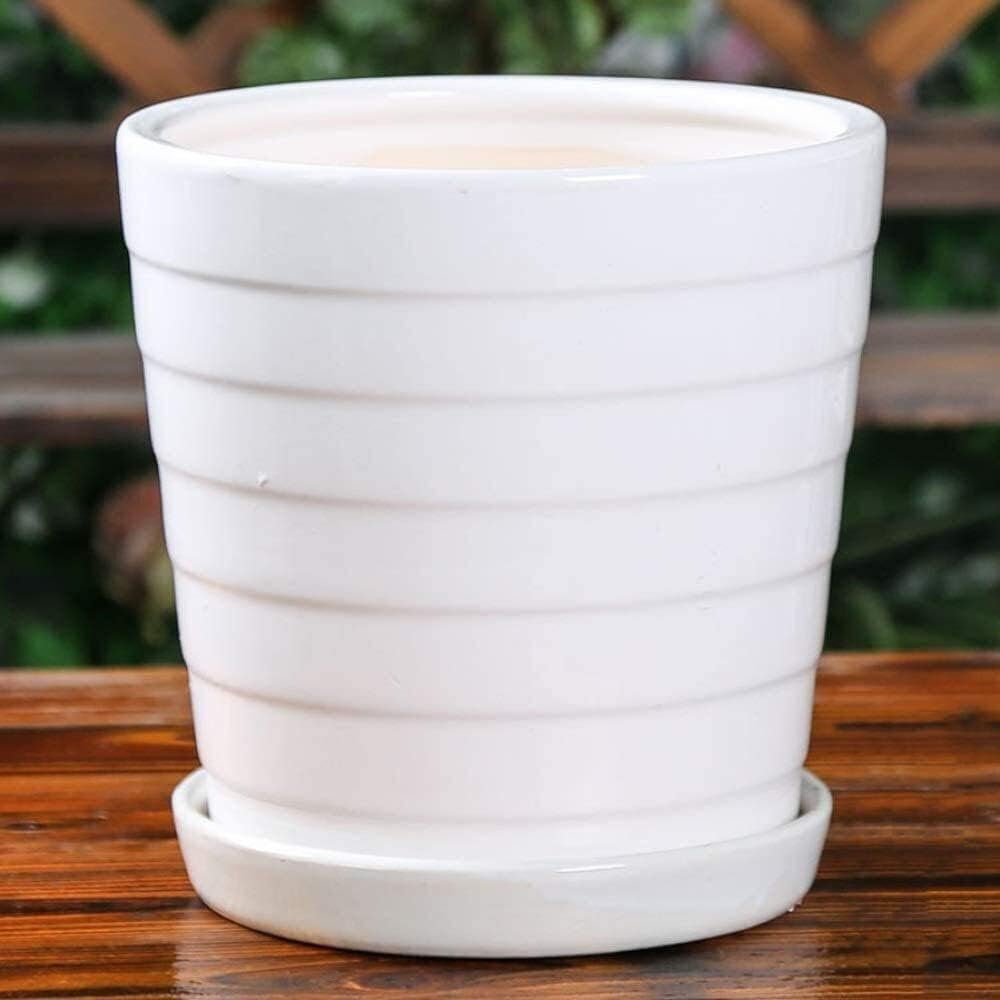 Living room flower pot White Large Cactus Plant Ceramic