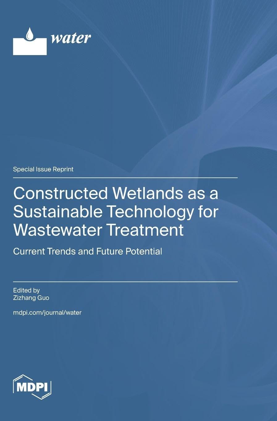Constructed Wetlands as a Sustainable Technology for Wastewater Treatment: Current Trends and Future Potential