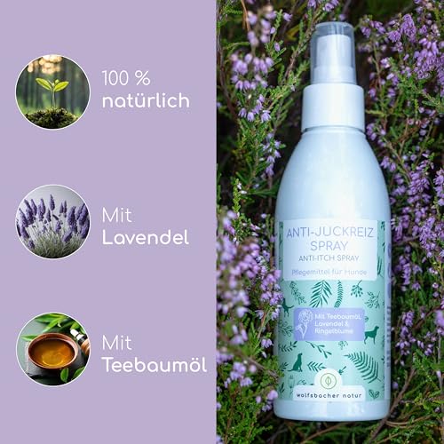 Juckreiz Spray für Hunde - Bei trockener Haut mit Juckreiz und Milben - Pflegt, unterstützt und regeneriert 100% pflanzlichen Wirkstoffe - Mit Teebaumöl und Lavendel, 200ml