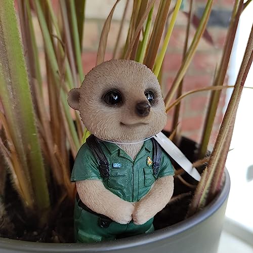 Suricate paramédicale Vivid Arts PLP-153 statue de jardin en résine - 6