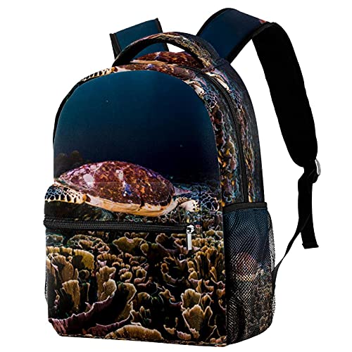 Sac à dos homme turquoise dauphin idéal pour les étudiants et les cours