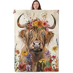 Highland Cow41