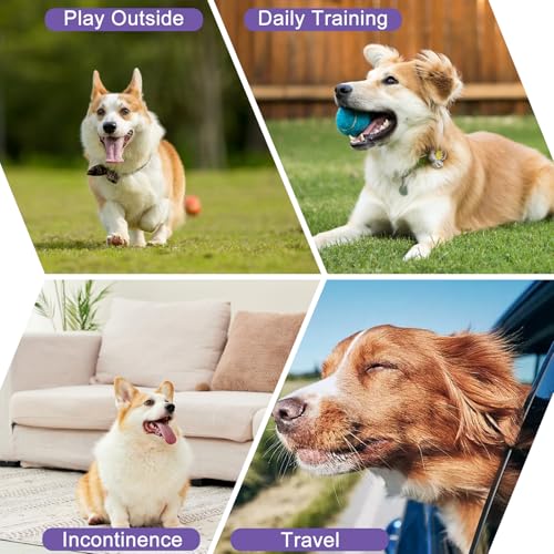 Image of Female Dog Diapers Reusable No Tail Hole Period Panties Washable 3 Pack Diapers Female for Docked-Tail Frenchie French Bulldog Boston Terrier Without Tail U-WWD01XS