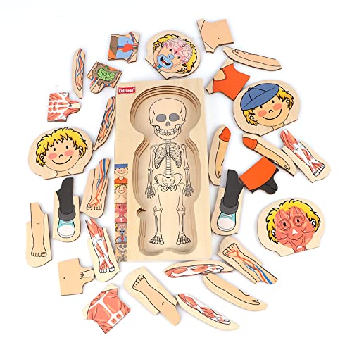 Rompecabezas de cuerpo humano para tardes de juego educativo en familia 3