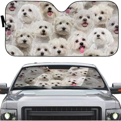 Pare-soleil voiture universel pliable motif chien maltais taille L pour pare-brise intérieur