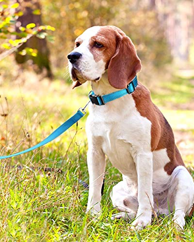 Image of Reflective Dog Collar with Buckle Adjustable Safety Nylon Collars for Small Medium Large Dogs, Blue L