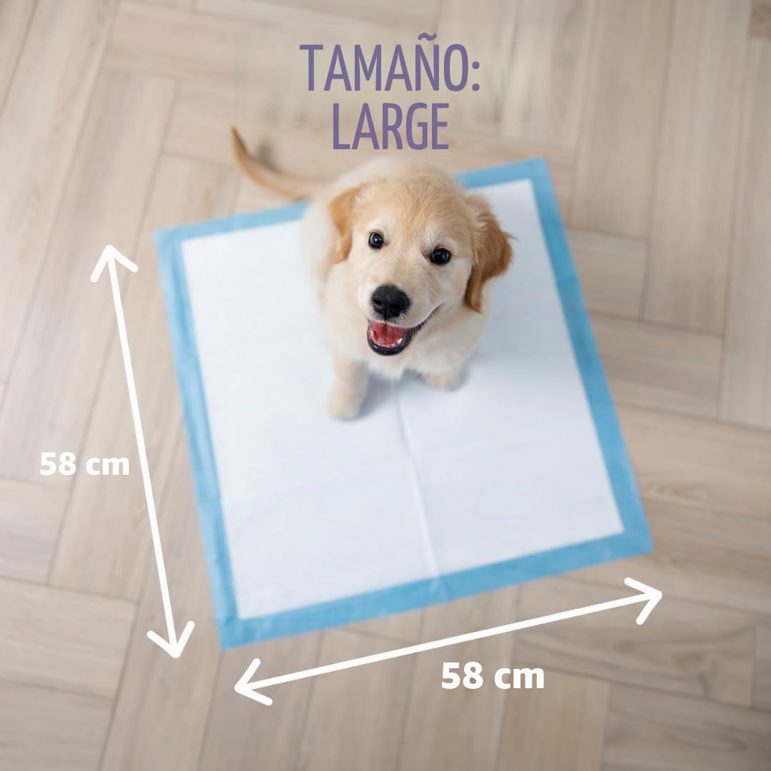 Empapadores de Adiestramiento para Cachorros y Perros Desechables – Tapetes Educativos con Carbón Activo – Súper Absorbentes & Antifugas – Control de Olores – 58x58cm – Pack 250 Unidades