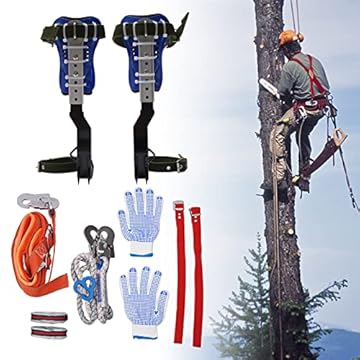 tree climbing belt and spikes