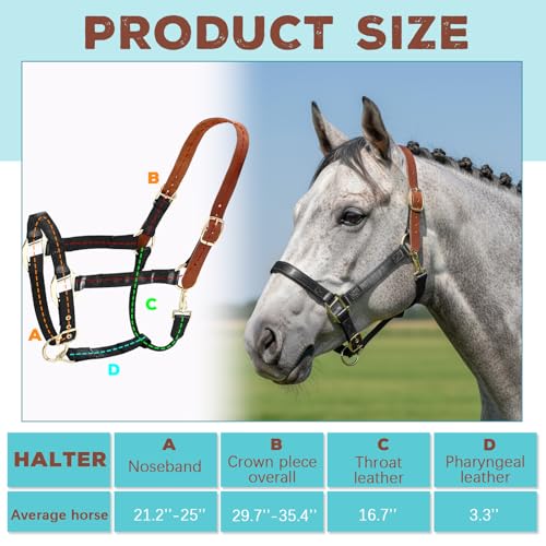 Image of Leather Halter for Horses, Equine Breakaway Nylon Rope Horse Halter with Snap & Adjustable Chin and Throat Snap Hook Halters for Training, Show and Daily Use, Average Size