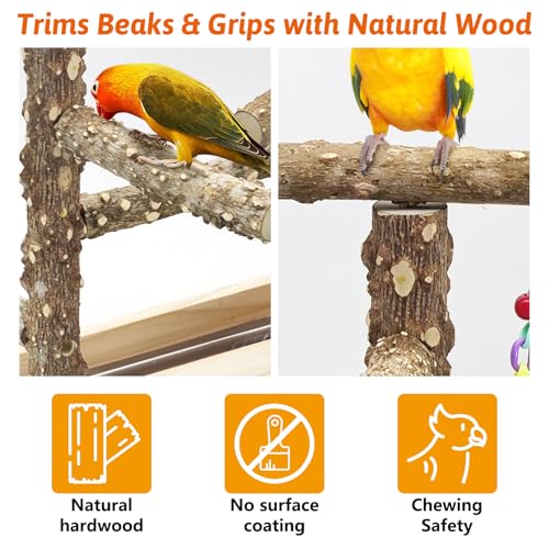 Image of BNOSDM Natural Wood Bird Playground for Training & Playing, Parrot Perch Stand Jungle Gym with Detachable Tray & Stainless Feeder Cups Parakeet Cage Playstand for Budgie, Cockatiel, African Grey
