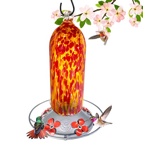 Best Hummingbird Feeder 2020 Top Picks Expert Buying Guide