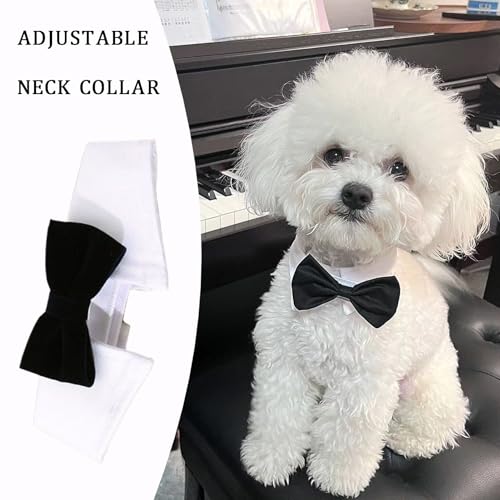 Fliege Hund,Fliege für Hund Hochzeit,Hundefliege,Hunde Fliege Hochzeit,Formelle Hundehalsband,Verstellbares Halsband Halsketten für kleine Hunde bei Hochzeitsfeiern und Geburtstagsfeiern Schwarz (S)