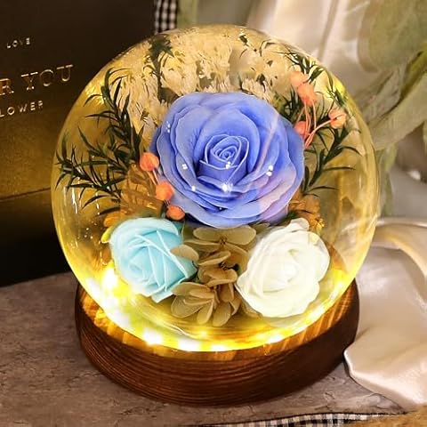 FAYODO Forever Roses in Glass Dome Cover