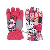 Gants en filet pour femme - Gants longs noirs - Gants intérieurs pour femme - Ils s'adaptent parfaitement à vos gants de ski et de snowboard et produisent une double chaleur - Gants d'hiver polyvalents - Gants de cyclisme parfaits pour une variété de activités intérieures et extérieures telles que la course, l'équitation, la randonnée, l'alpinisme et autres.