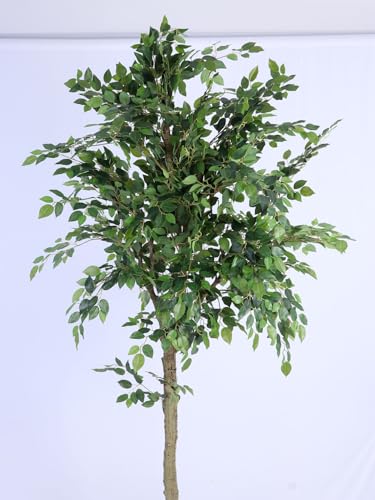 Image of ARICK DECOR 6.5Ft Large Artificial Ficus Tree - 6.5ft Tall Faux Lush Fig Tree with Natural Wood Trunk in Pot - Realistic Greenery for Living Room, Office, Hotel & Indoor Decor (99.7W x 200H cm)