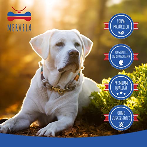MERVELA Eierschalenpulver Hunde | 500 Gramm | Eiweißpulver | Eierschalen gemahlen | Kalzium für Hunde & Katzen | Eierschale | 100% natürlich | Hundefutter-Futterzusatz | Calcium Knochen & Zähne