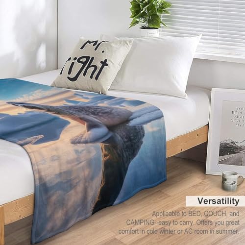 Couverture flannel phoque chaude : finis les frissons sur le canapé grâce à sa douceur - 7