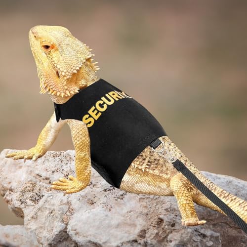 Conjunto de arnês e coleira de dragão barbudo – Corda de tração de lagarto ajustável, à prova de esc
