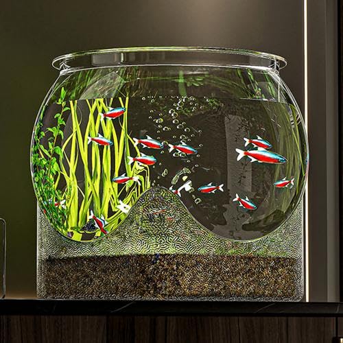 Rundes Fischglas - 16 cm Transparentes Goldfischglas - Fischglas mit breiter Öffnung - Bruchsicherer Kunststoff Aquariumschale Desktop Kugelaquarium Fischaquarium Für Den Tisch Fisch Mikrolandschaft
