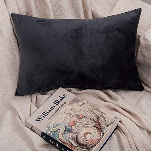 Image of NTBAY 2 Pack Zippered Velvet Queen Pillowcases, Super Soft and Cozy Luxury Fuzzy Flannel Pillow Cases with Zipper, 20x30 Inches, Charcoal Grey