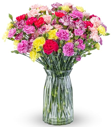 Benchmark Bouquets - 20 Stem Spring Mini Carnations (Glass Vase Included) - Fresh Flowers for...
