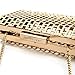 two the nines Womens Gold Clutch Evening Bag Hollow Out Cage Clutch Purse Party Ball Prom