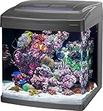 Coralife Smart BioCube Jr, Aquarium Kit, Wi-Fi and...