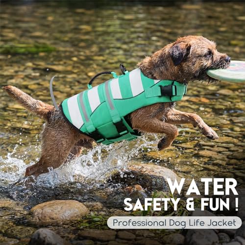 ASENKU Hundeschwimmweste Klein XS mit Rettungsgriff, verstellbarem Brustgurt und Reflektorstreifen, Schwimmweste für Hunde zur sicheren Nutzung beim Bootfahren, Baden und Wassersport