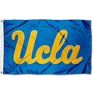 Bruins Wordmark Flag Large 3×5