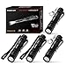 Taschenlampe Kleine RISEMART EDC Superhelle Mini Schlüsselanhänger Taschenlampe CREE LED Wasserdichte Taschenlampe Geeignet für AAA Batterie Ultrahelle (4pcs 9cm)