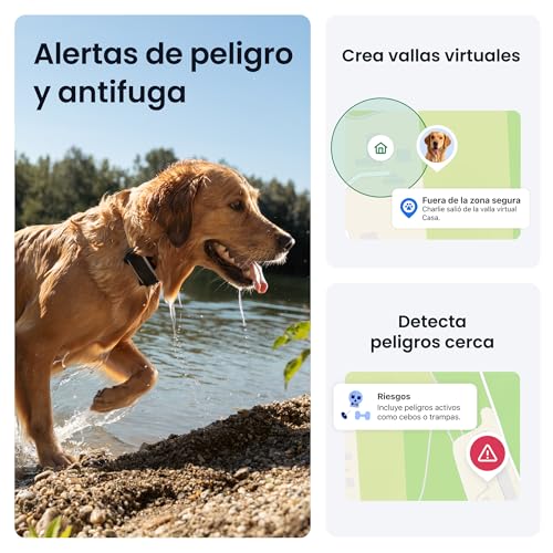 Miniatura 4 de Tractive GPS para Perros Inteligente | Edición 2026 | Localización GPS en Tiempo Real | Alertas antifuga y avisos de Salud | Monitorización de Constantes Vitales | Batería de Larga Duración (Negro)