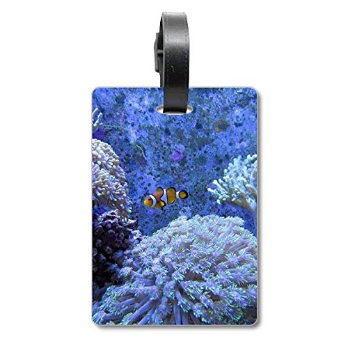 Étiquette d'identification pour valise motif poisson clown Ocean Coral Science