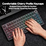 EPOMAKER Glintrix PBT Shine Through Keycaps, Arris & Keys Backlit, Double Shot, Cherry Profile, 60/75/96/pełny rozmiar, niestandardowy zestaw klawiszy do mechanicznej klawiatury do gier (czarne)