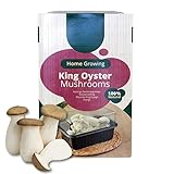 Carbeth Plants - Mushroom Growing Kit King Oyster - Beginner Friendly Ready to Grow Educational Kit - Easy to Use Gardening Gift - Grow Your Own Tasty Produce for Cooking