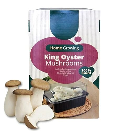 Carbeth Plants - Mushroom Growing Kit King Oyster - Beginner Friendly Ready to Grow Educational Kit - Easy to Use Gardening Gift - Grow Your Own Tasty Produce for Cooking