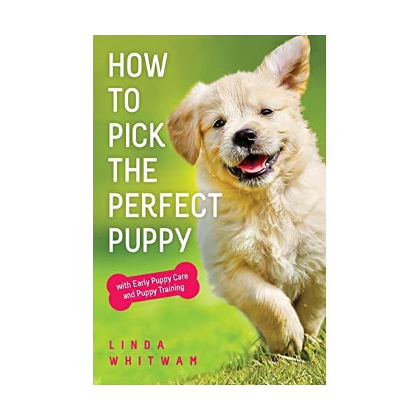 How-to-Pick-The-Perfect-Puppy-With-Early-Puppy-Care-and-Puppy-Training-Canine-Handbooks-Paperback--January-11-2015 Puppy Care and Training: "How to Pick The Perfect Puppy" Guide