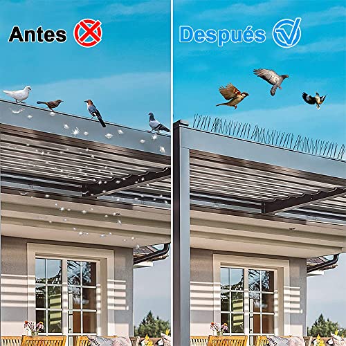 Electricidad, DVD Imagen adicional