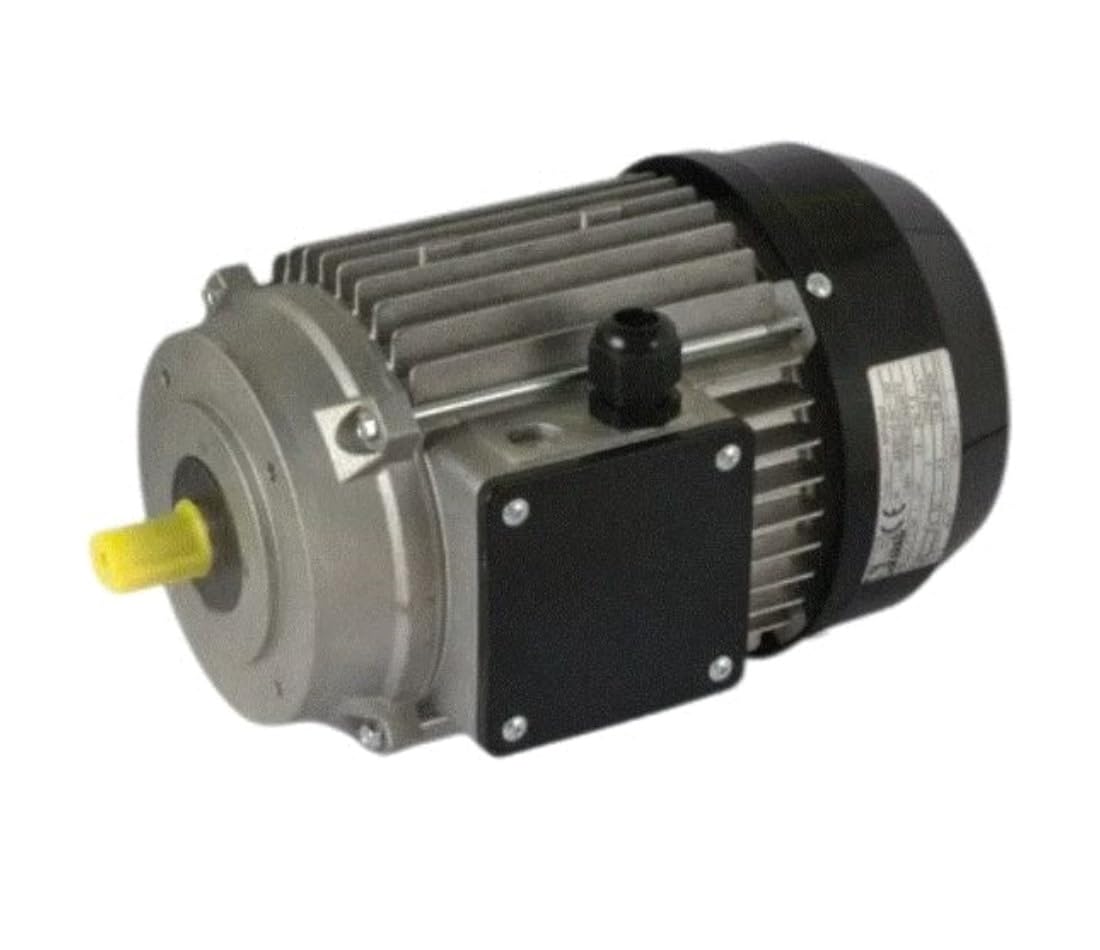 Motore elettrico 220 volt originale imer per Betoniera a bicchiere Syntesi 190-250