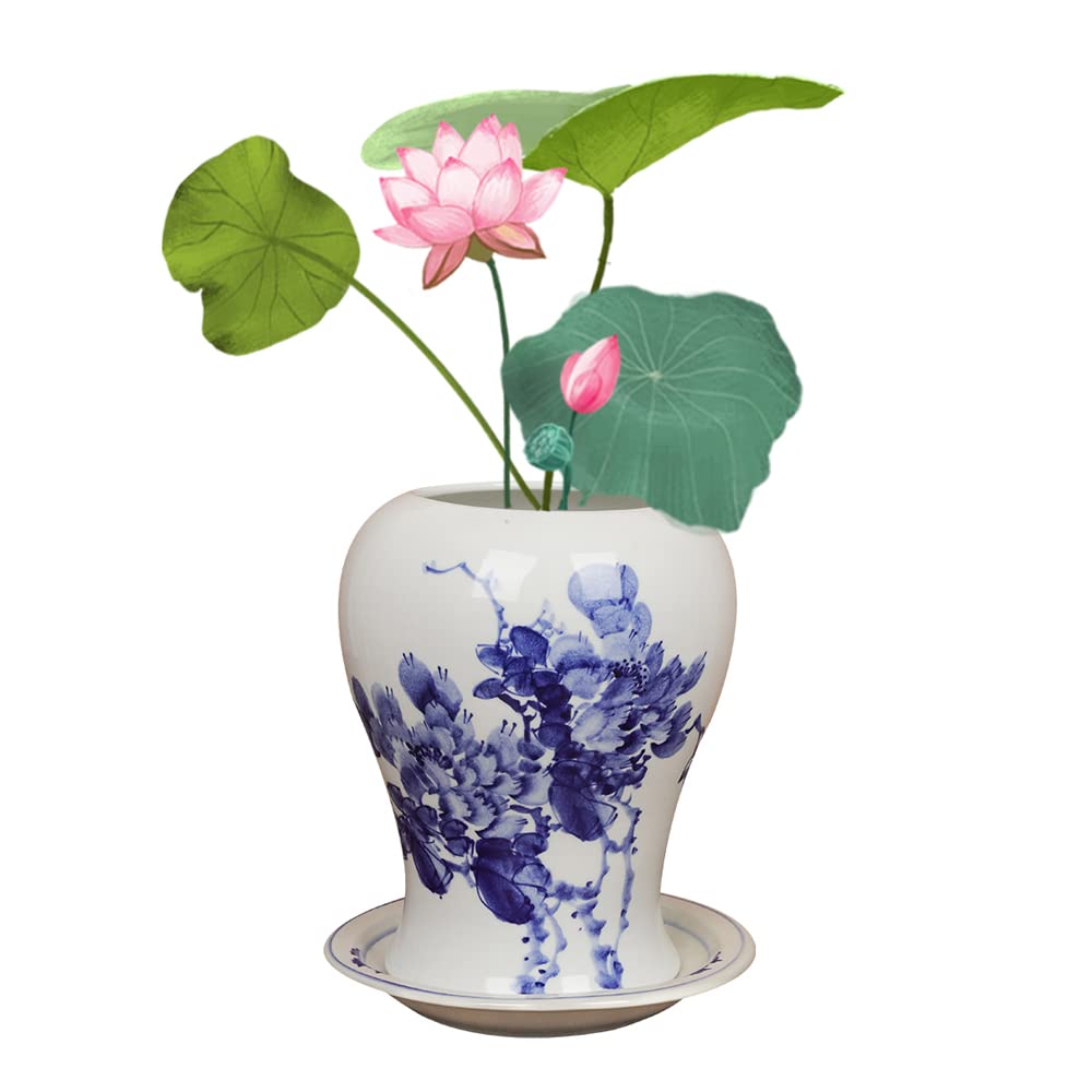 Jingdezhen Ceramics, Ręcznie Malowane Doniczki Z Niebieskiej I Białej Porcelany, Storczyki W Stylu Chinoiserie, Specjalne Doniczki, Zielone Koperki, Miedziana Miska Z Tr